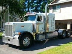 1994 Pete 379