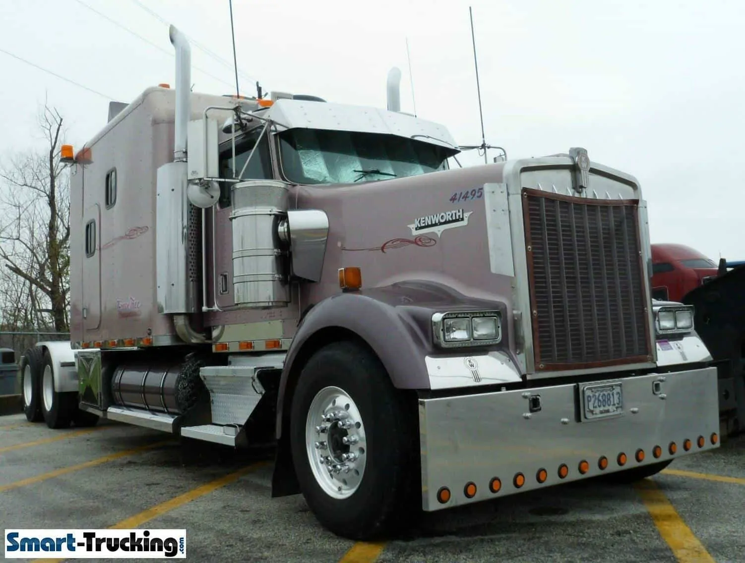 Kenworth W900 Mauve Custom Big Sleeper Berth