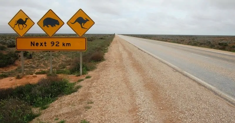 Animal Road Sign in Australia