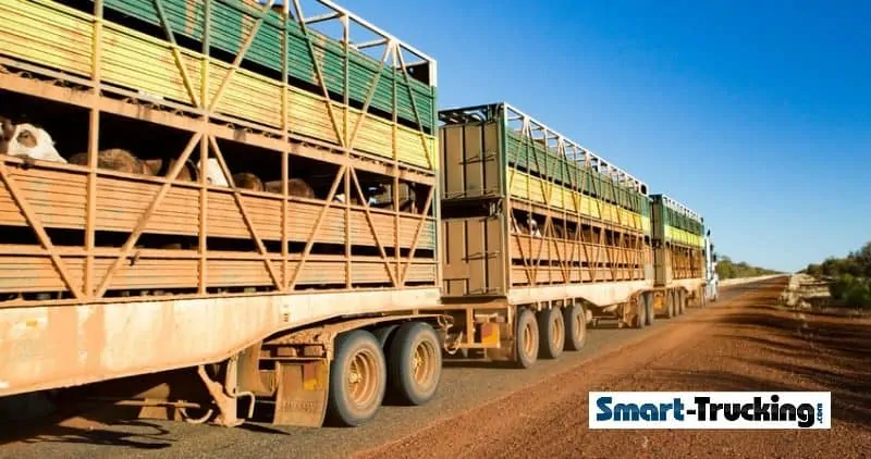 Road Train Outback Australia Hauling Cattle