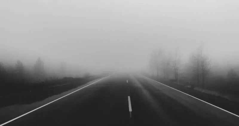 Fog along highway