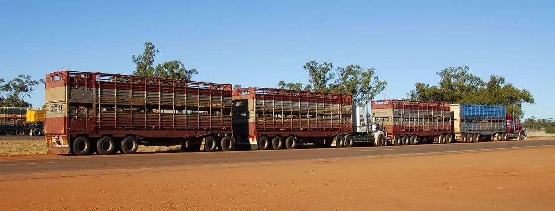 road train in australia crossing a outback country road with reddish or dusty scene