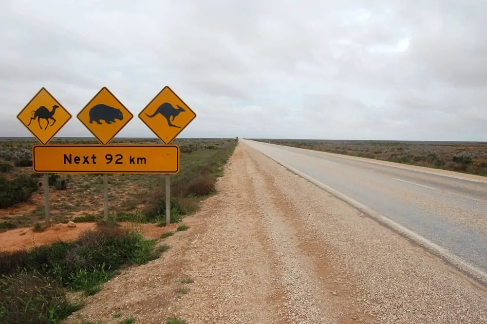 Road sign in Australia, Nullarbour Plain