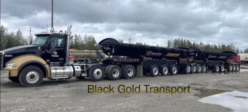 A photo of a Black and Gold Semi Truck and Trailer.